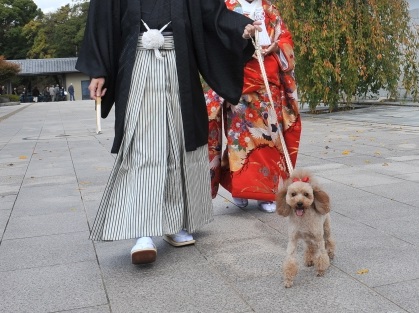 犬と3ショットで撮影できて嬉しいです！